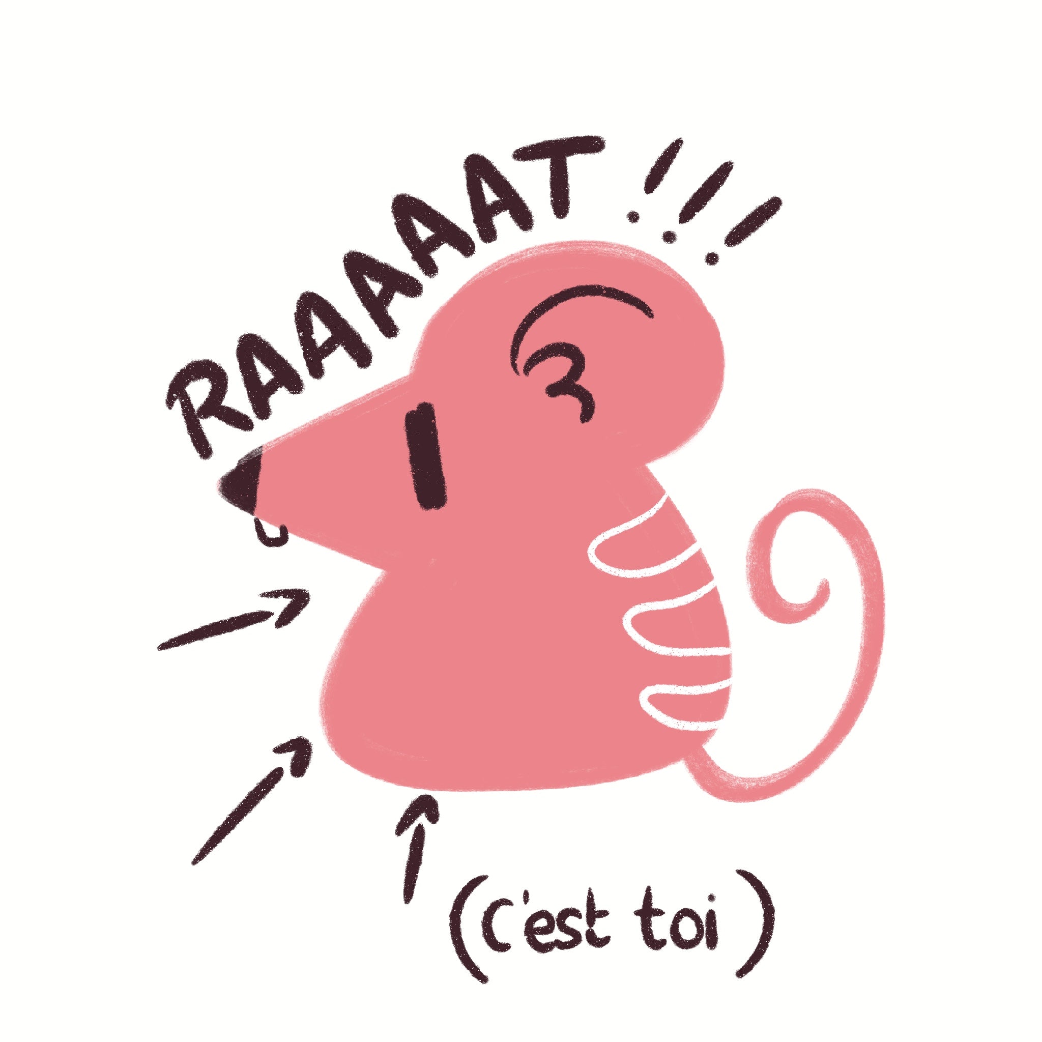 Les Promos Du Rat
