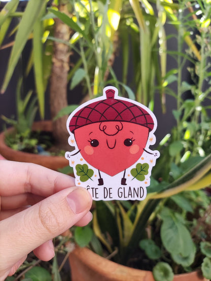 Sticker laminé " tete de gland" / sticker humour noir/ idee cadeau drole