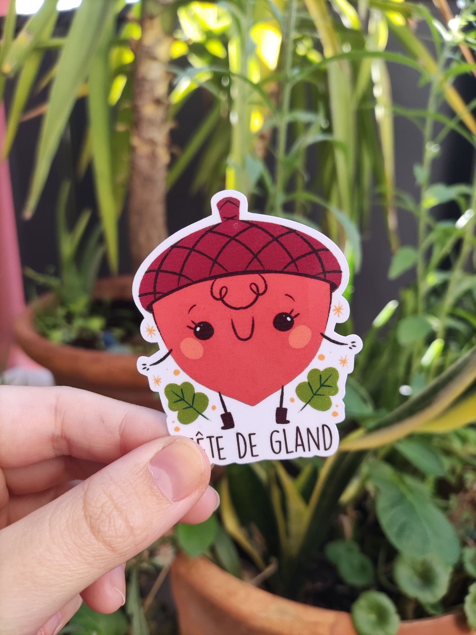 Sticker laminé " tete de gland" / sticker humour noir/ idee cadeau drole