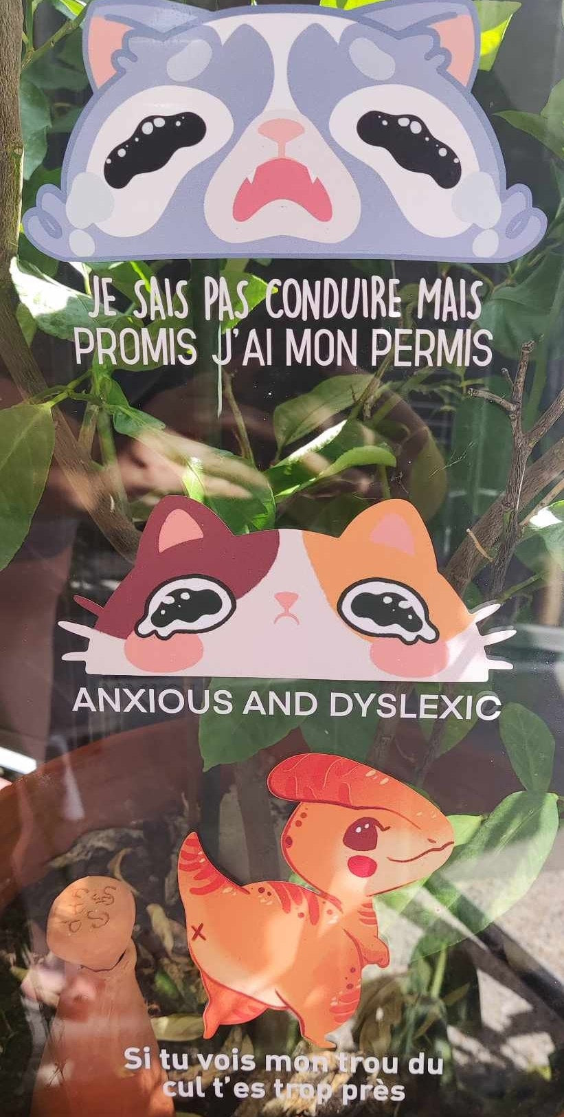 Sticker pour voiture drôle "Anxious and dyslexic"