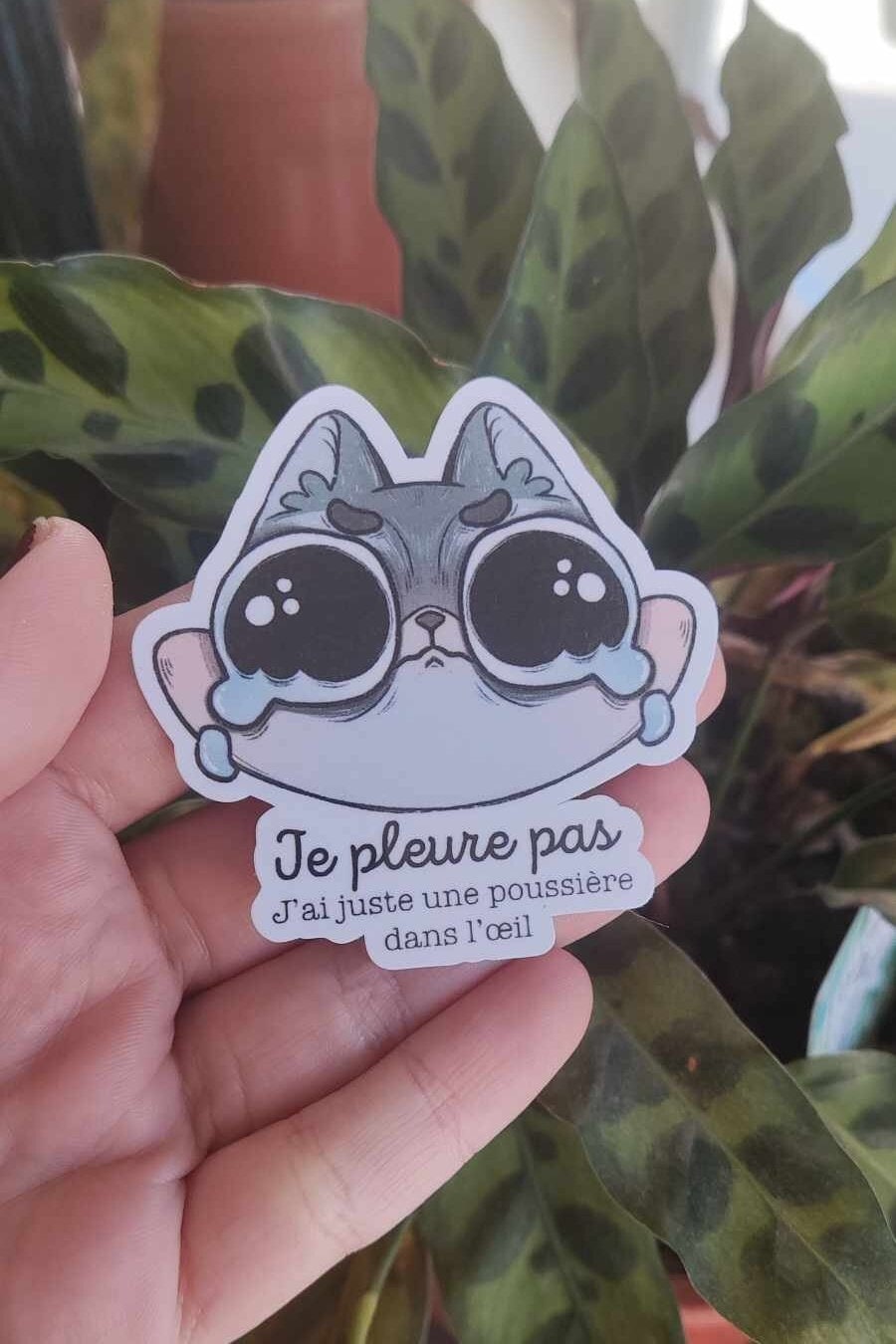 Sticker "poussière dans l'oeil" nugget le raton laveur, sticker mignon, triste, drôle